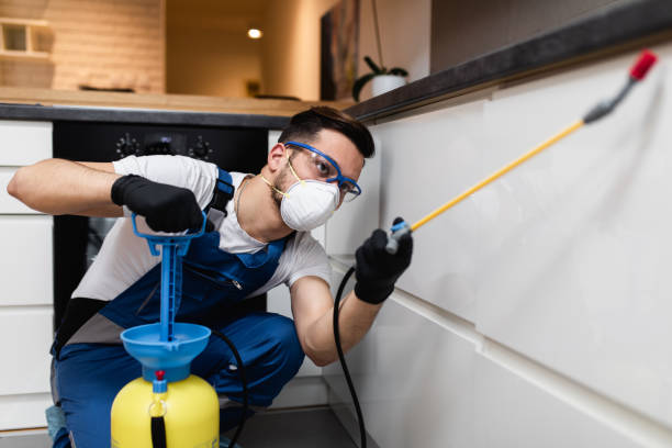 Pest Prevention Services in Delmont, PA