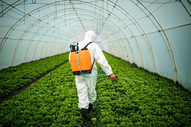 Best Pest Control for Restaurants  in Delmont, PA