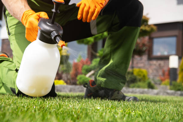 Best Residential Pest Control  in Delmont, PA