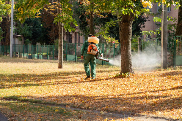 Wildlife Control Services in Delmont, PA