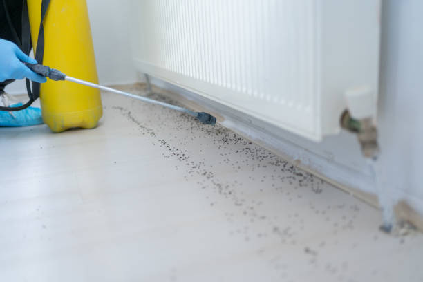 Best Mosquito Control Services  in Delmont, PA