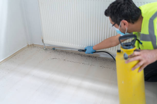 Best Pest Control Treatment  in Delmont, PA