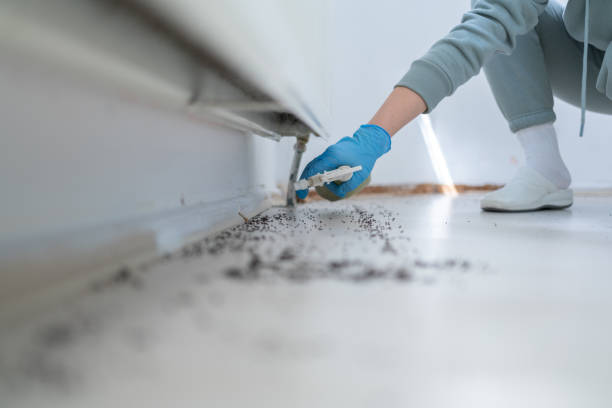 Best Cockroach Control Services  in Delmont, PA